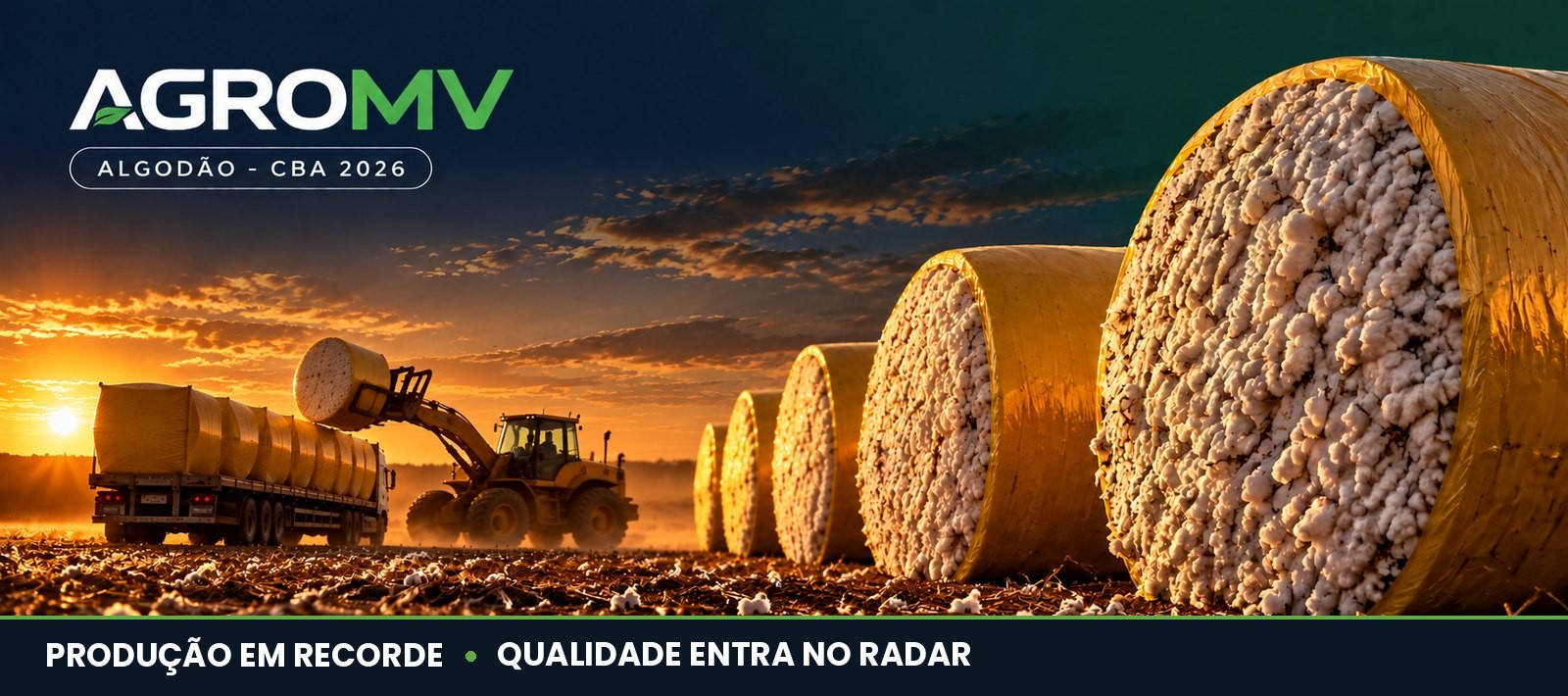 Capa da Edição 06 do AGROMV Semanal: fardos de algodão prensados em pátio de beneficiamento, prontos para exportação